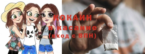 гашик Новодвинск