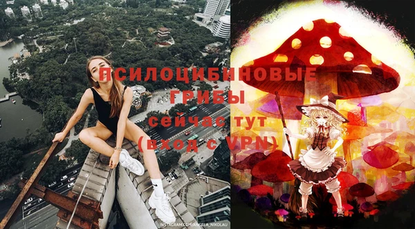 хмурый Абинск