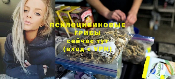 хмурый Абинск