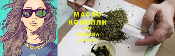 дмт Новозыбков