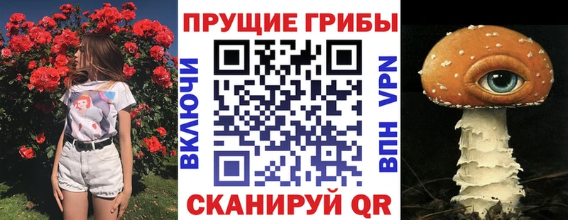 наркошоп  Пойковский  Галлюциногенные грибы ЛСД 